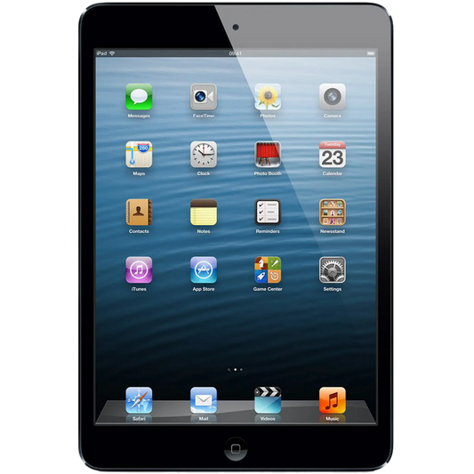 iPad Mini 1 16GB Wifi